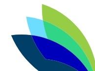 footer-image